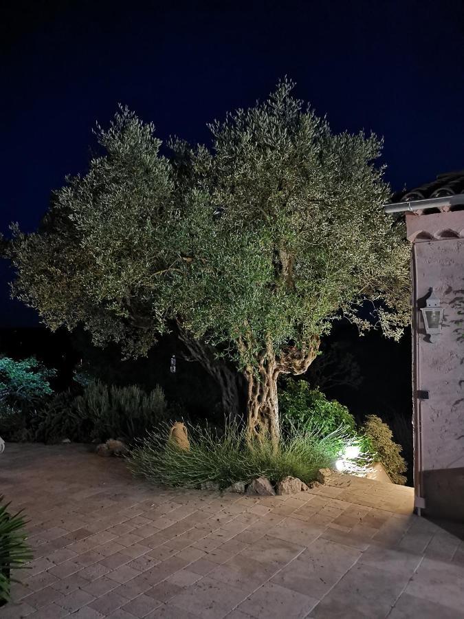 Le Nid Des Arts Bed & Breakfast Tourrettes Luaran gambar