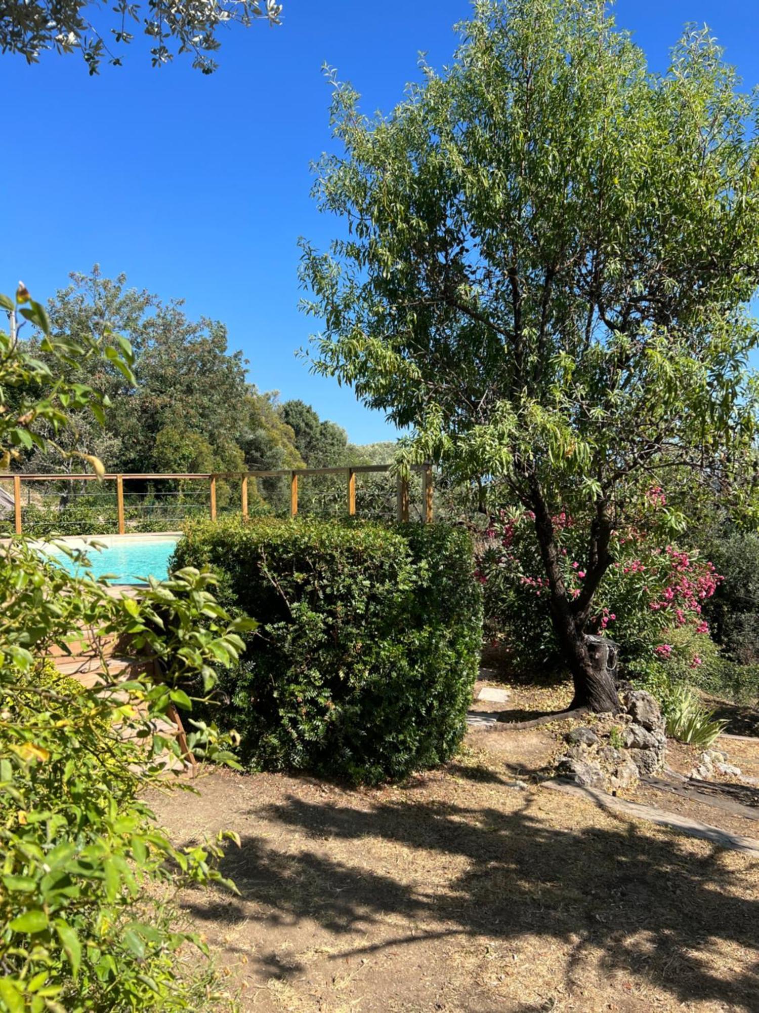 Le Nid Des Arts Bed & Breakfast Tourrettes Luaran gambar